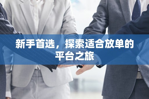 新手首选，探索适合放单的平台之旅