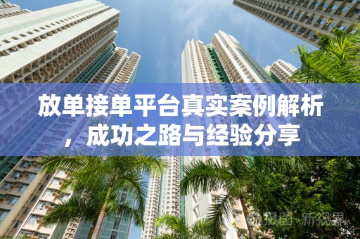 放单接单平台真实案例解析，成功之路与经验分享