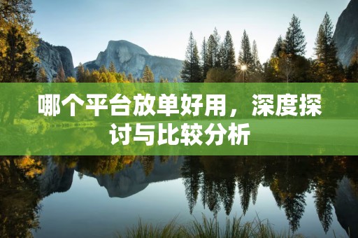 哪个平台放单好用，深度探讨与比较分析