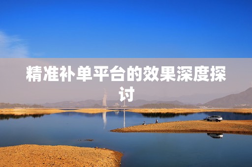 精准补单平台的效果深度探讨