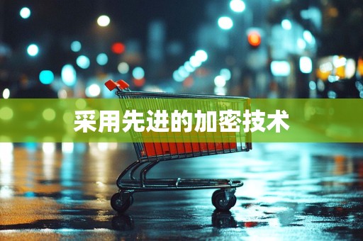 采用先进的加密技术