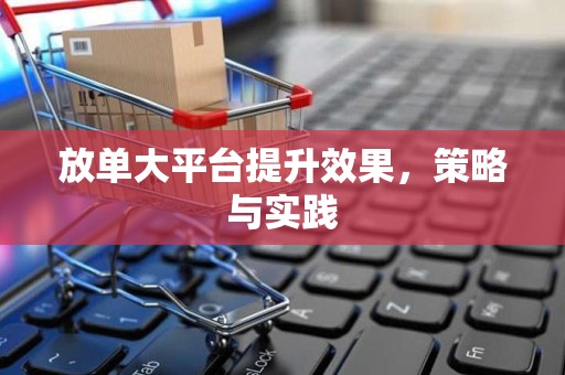 放单大平台提升效果，策略与实践