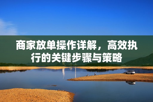 商家放单操作详解，高效执行的关键步骤与策略