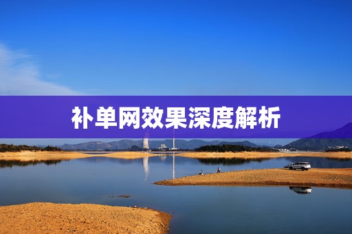 补单网效果深度解析