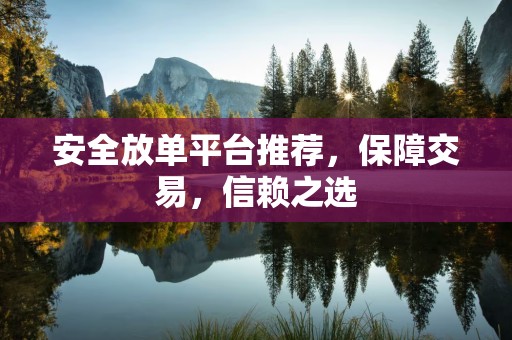 安全放单平台推荐，保障交易，信赖之选