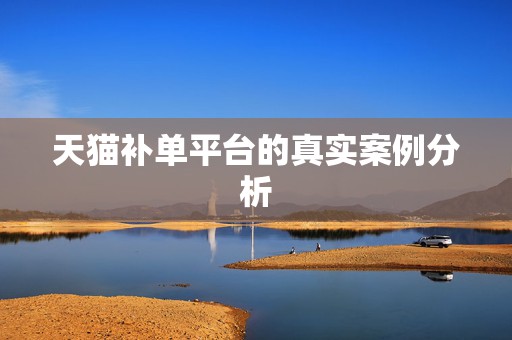天猫补单平台的真实案例分析
