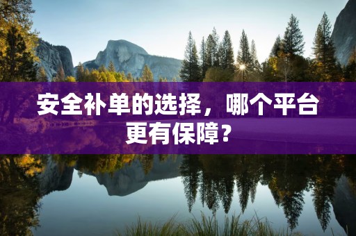 安全补单的选择，哪个平台更有保障？