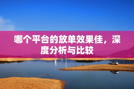 哪个平台的放单效果佳，深度分析与比较