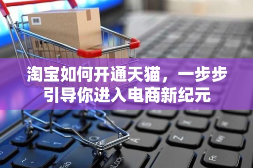 淘宝如何开通天猫，一步步引导你进入电商新纪元