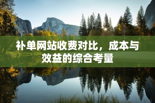 补单网站收费对比，成本与效益的综合考量