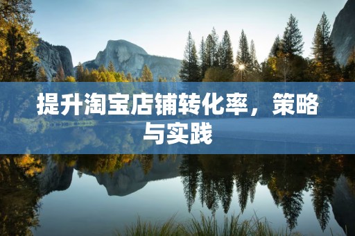 提升淘宝店铺转化率，策略与实践