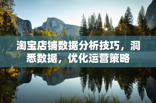 淘宝店铺数据分析技巧，洞悉数据，优化运营策略