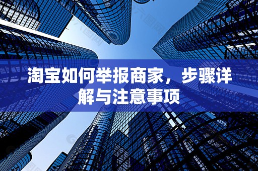 淘宝如何举报商家，步骤详解与注意事项