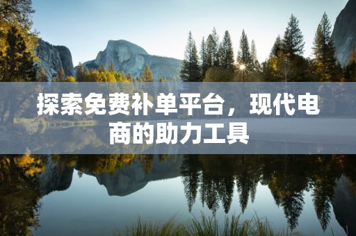 探索免费补单平台，现代电商的助力工具