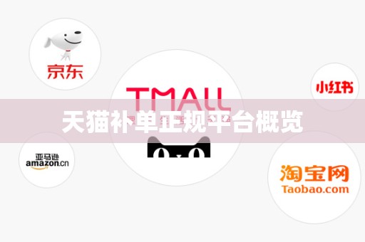 天猫补单正规平台概览