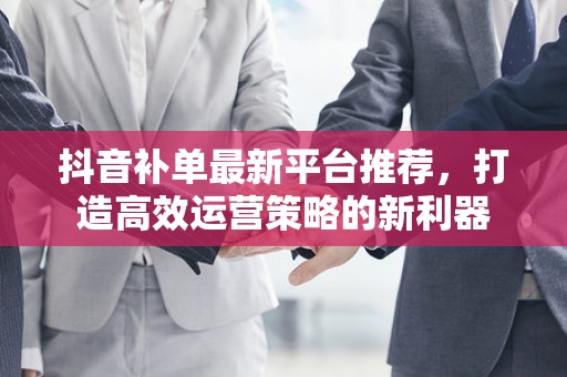 抖音补单最新平台推荐，打造高效运营策略的新利器