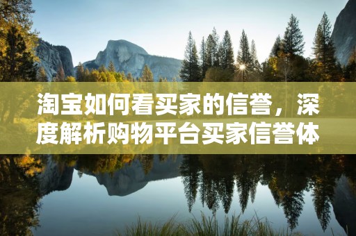 淘宝如何看买家的信誉，深度解析购物平台买家信誉体系