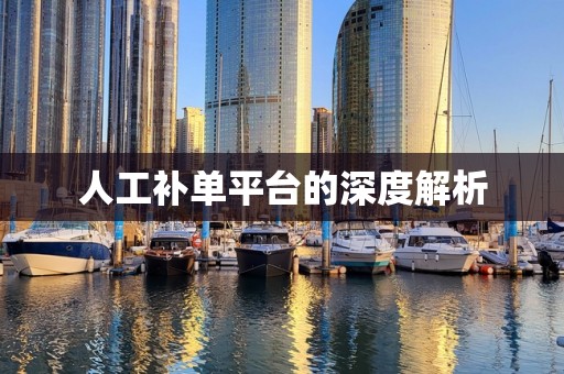 人工补单平台的深度解析