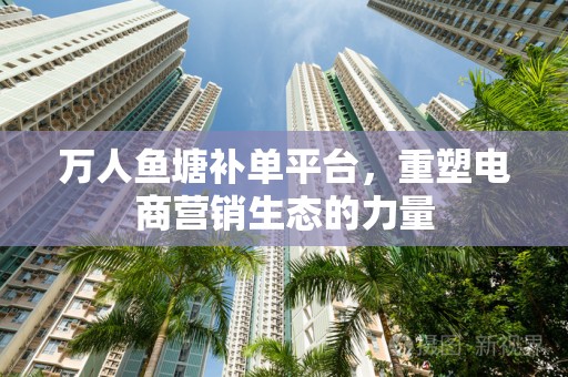 万人鱼塘补单平台，重塑电商营销生态的力量