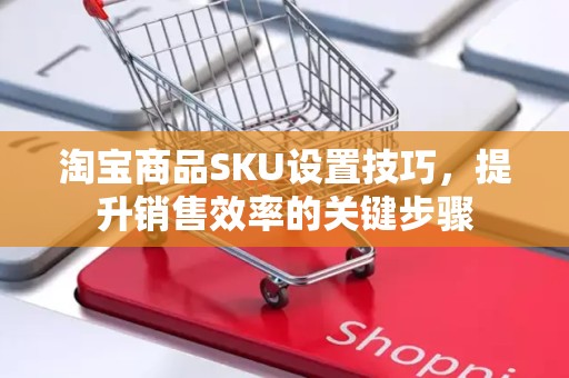 淘宝商品SKU设置技巧，提升销售效率的关键步骤