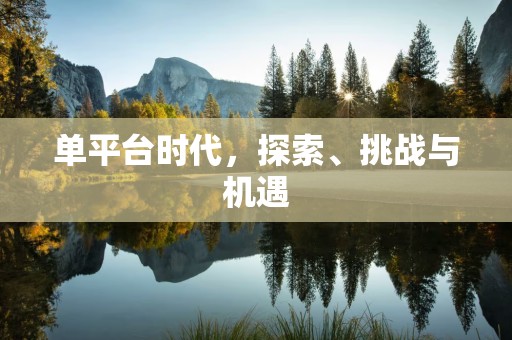 单平台时代，探索、挑战与机遇
