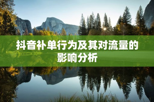 抖音补单行为及其对流量的影响分析