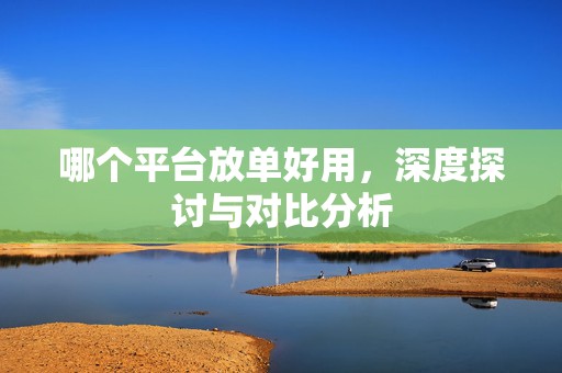 哪个平台放单好用，深度探讨与对比分析