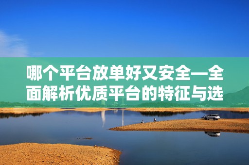 哪个平台放单好又安全—全面解析优质平台的特征与选择策略