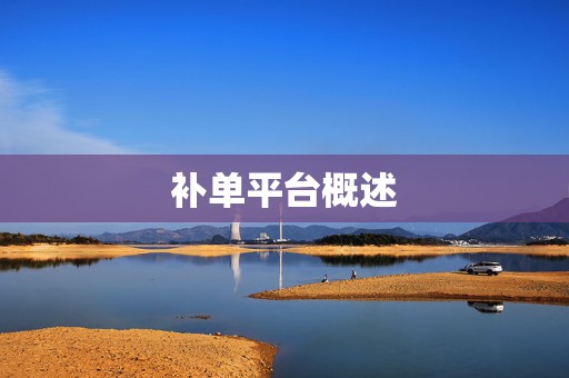 补单平台概述