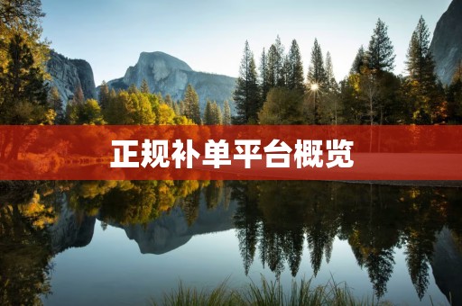 正规补单平台概览