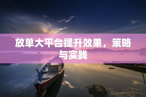 放单大平台提升效果，策略与实践