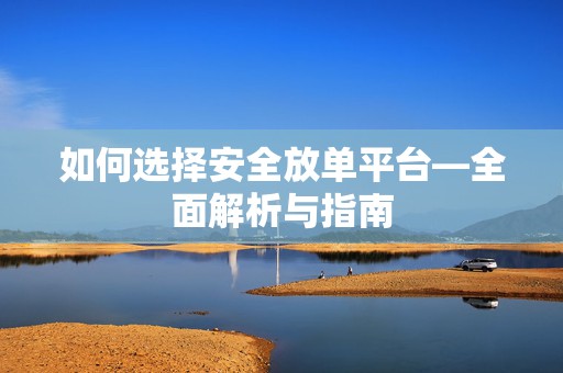 如何选择安全放单平台—全面解析与指南