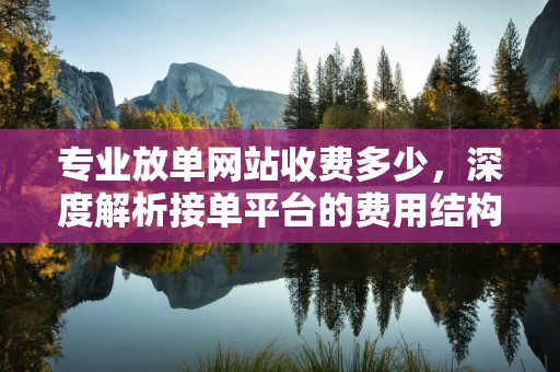专业放单网站收费多少，深度解析接单平台的费用结构
