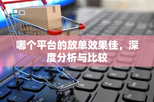 哪个平台的放单效果佳，深度分析与比较