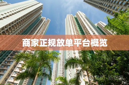 商家正规放单平台概览
