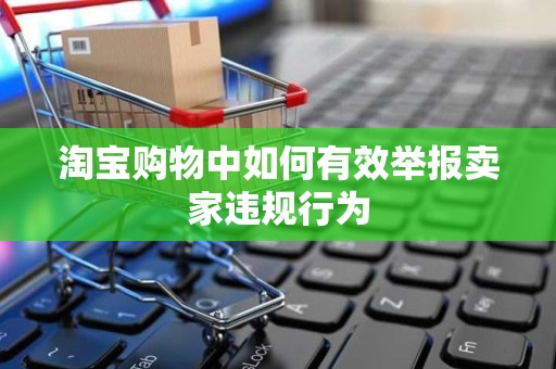 淘宝购物中如何有效举报卖家违规行为