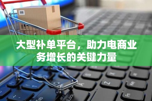 大型补单平台，助力电商业务增长的关键力量