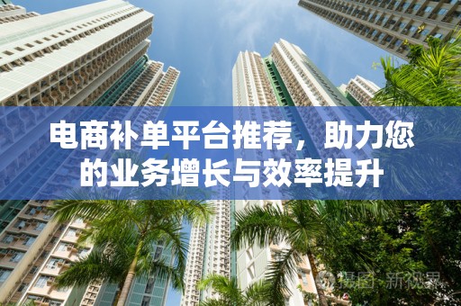 电商补单平台推荐，助力您的业务增长与效率提升