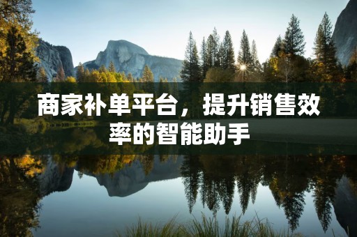 商家补单平台，提升销售效率的智能助手