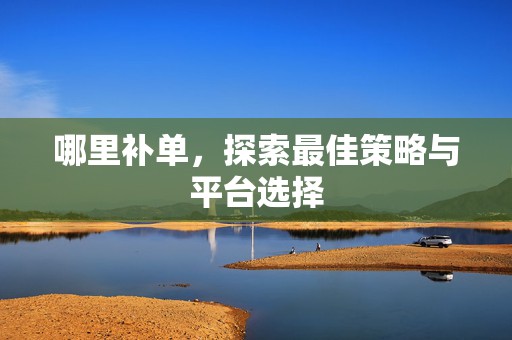 哪里补单，探索最佳策略与平台选择