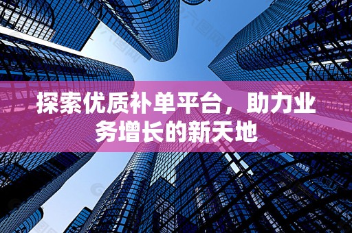 探索优质补单平台，助力业务增长的新天地