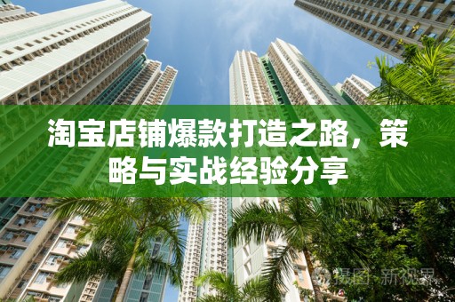 淘宝店铺爆款打造之路，策略与实战经验分享