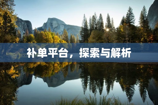 补单平台，探索与解析
