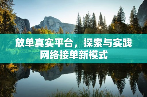 放单真实平台，探索与实践网络接单新模式