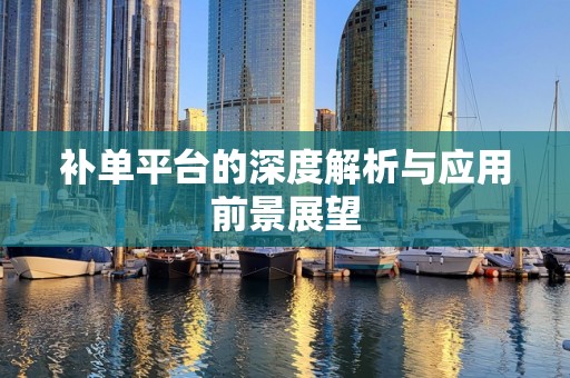 补单平台的深度解析与应用前景展望