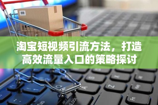淘宝短视频引流方法，打造高效流量入口的策略探讨