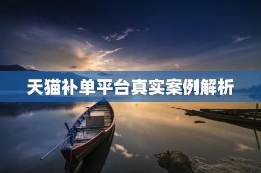 天猫补单平台真实案例解析