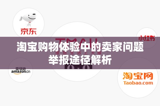 淘宝购物体验中的卖家问题举报途径解析