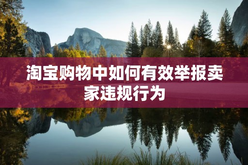 淘宝购物中如何有效举报卖家违规行为