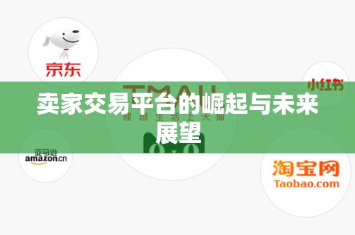 卖家交易平台的崛起与未来展望
